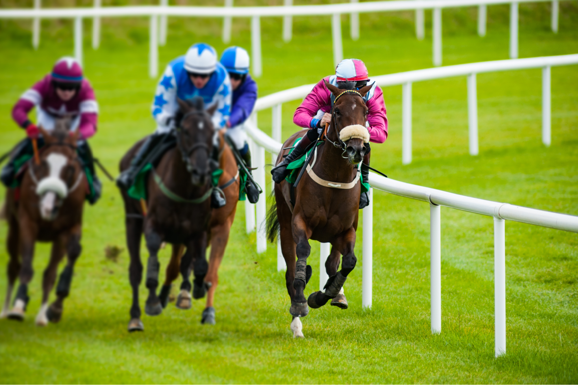 C&G’s Guide To: Where To Watch The Melbourne Cup In Bayside