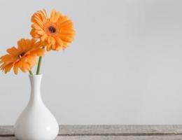 C&G's Guide to Mother's Day